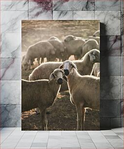 Πίνακας, Grazing Sheep at Dusk Πρόβατα που βόσκουν το σούρουπο