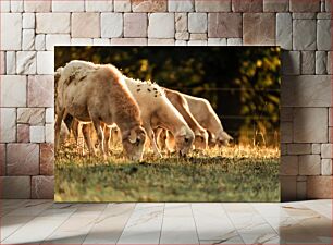 Πίνακας, Grazing Sheep in a Field Πρόβατα που βόσκουν σε χωράφι