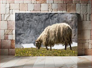 Πίνακας, Grazing Sheep in a Meadow Πρόβατα που βόσκουν σε ένα λιβάδι