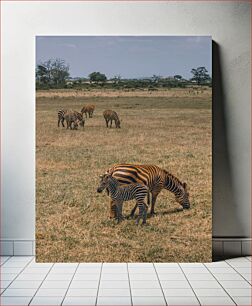 Πίνακας, Grazing Zebras in the Savanna Ζέβρες που βόσκουν στη Σαβάνα