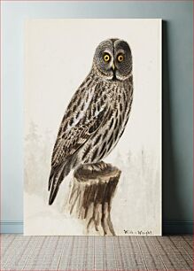 Πίνακας, Great grey owl, 1830 - 1870, Wilhelm von Wright