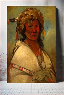 Πίνακας, Great Hero, a chief by George Catlin