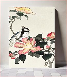 Πίνακας, Great tit on branch with pink flowers (1900 - 1930) by Ohara Koson (1877-1945)