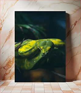 Πίνακας, Green and Yellow Snake in Nature Πράσινο και κίτρινο φίδι στη φύση
