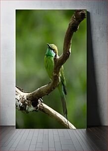 Πίνακας, Green Bird on a Tree Branch Πράσινο πουλί σε κλαδί δέντρου