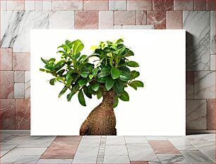 Πίνακας, Green Bonsai Tree Πράσινο Δέντρο Μπονσάι