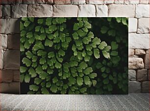 Πίνακας, Green Fern Leaves Πράσινα φύλλα φτέρης