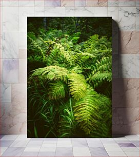 Πίνακας, Green Ferns in the Forest Πράσινες Φτέρες στο Δάσος