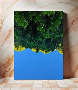 Πίνακας, Green Foliage Against Blue Sky Πράσινο φύλλωμα ενάντια στο γαλάζιο του ουρανού