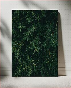 Πίνακας, Green Foliage Close-Up Κοντινό πλάνο πράσινο φύλλωμα