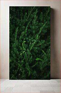 Πίνακας, Green Foliage Close-up Κοντινό πλάνο με πράσινο φύλλωμα