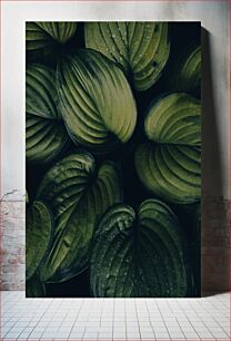 Πίνακας, Green Foliage Close-up Κοντινό πλάνο με πράσινο φύλλωμα