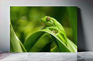 Πίνακας, Green Frog on a Leaf Πράσινος βάτραχος σε ένα φύλλο