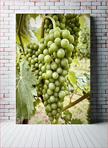 Πίνακας, Green Grapes on the Vine Πράσινα σταφύλια στο αμπέλι