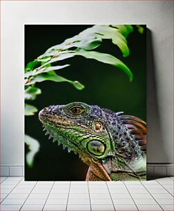 Πίνακας, Green Iguana Close-up Κοντινό πλάνο πράσινο ιγκουάνα