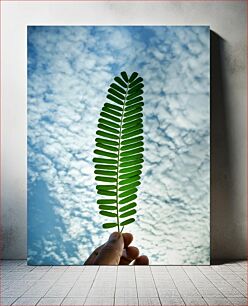 Πίνακας, Green Leaf Against Sky Πράσινο φύλλο ενάντια στον ουρανό