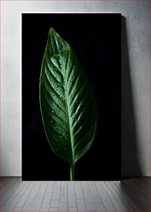 Πίνακας, Green Leaf with Water Droplets Πράσινο φύλλο με σταγονίδια νερού