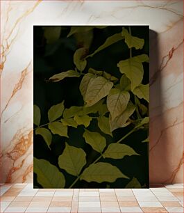 Πίνακας, Green Leafy Plant Πράσινο Φυτό