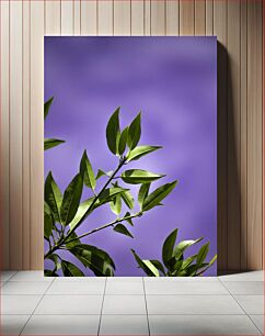 Πίνακας, Green Leaves Against Purple Sky Πράσινα φύλλα ενάντια στον πορφυρό ουρανό