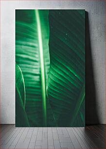 Πίνακας, Green Leaves Close-Up Πράσινα φύλλα από κοντά