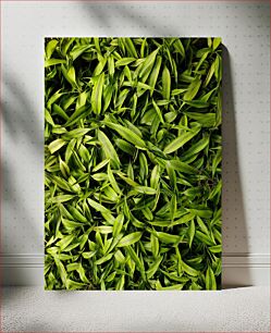 Πίνακας, Green Leaves Texture Πράσινα Φύλλα Υφή