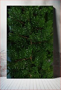 Πίνακας, Green Leaves with Water Droplets Πράσινα φύλλα με σταγονίδια νερού