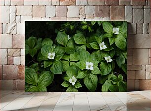 Πίνακας, Green Leaves with White Flowers Πράσινα φύλλα με λευκά άνθη
