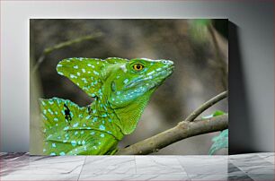 Πίνακας, Green Lizard in Natural Habitat Πράσινη σαύρα σε φυσικό βιότοπο
