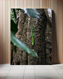 Πίνακας, Green Lizard on a Tree Trunk Πράσινη σαύρα σε κορμό δέντρου