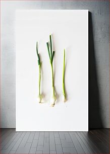 Πίνακας, Green Onions on White Background Πράσινα κρεμμύδια σε λευκό φόντο