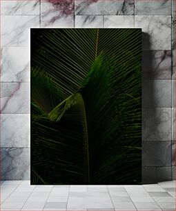 Πίνακας, Green Palm Leaves Close-up Κοντινό πλάνο με πράσινα φύλλα φοίνικα