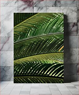 Πίνακας, Green Palm Leaves Πράσινα φύλλα φοίνικα