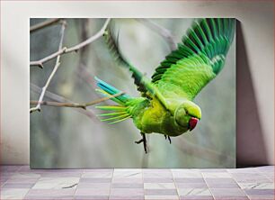 Πίνακας, Green Parrot in Flight Πράσινος παπαγάλος σε πτήση