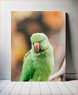 Πίνακας, Green Parrot in Focus Πράσινος Παπαγάλος στην εστίαση