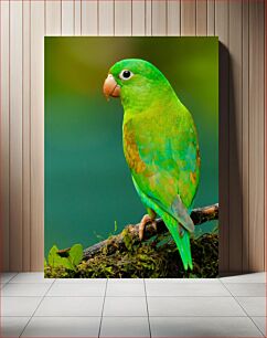 Πίνακας, Green Parrot on a Branch Πράσινος παπαγάλος σε ένα κλαδί