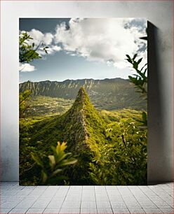 Πίνακας, Green Peak and Lush Valley Green Peak και Lush Valley