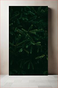 Πίνακας, Green Pine Branches Κλαδιά πράσινου πεύκου