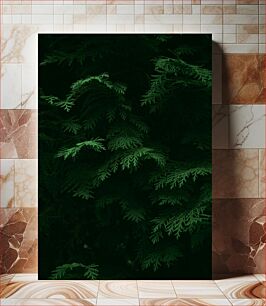 Πίνακας, Green Pine Leaves Πράσινα φύλλα πεύκου