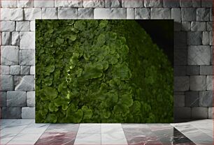 Πίνακας, Green Plant Texture Πράσινη Υφή Φυτών