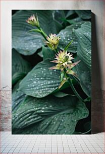 Πίνακας, Green Plant with Buds Πράσινο φυτό με μπουμπούκια