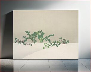 Πίνακας, Green plants from Momoyogusa–Flowers of a Hundred Generations (1909) by Kamisaka Sekka