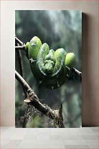 Πίνακας, Green Snake on a Branch Πράσινο φίδι σε ένα κλαδί