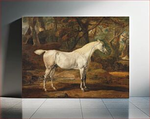 Πίνακας, Grey Arabian stallion, the property of Sir Watkin Williams-Wynn