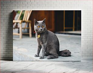 Πίνακας, Grey Cat with Yellow Eyes Γκρίζα γάτα με κίτρινα μάτια