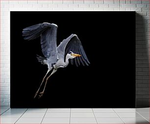Πίνακας, Grey Heron in Flight Γκρίζος ερωδιός σε πτήση