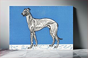 Πίνακας, Greyhound (1912) by Moriz Jung