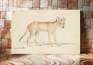 Πίνακας, Greyhound Dhole by Charles Hamilton Smith