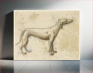 Πίνακας, Greyhound