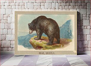 Πίνακας, Grizzly Bear, from the Animals of the World series (T180), issued by Abdul Cigarettes