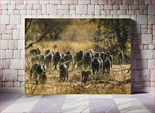 Πίνακας, Group of Baboons in the Wild Ομάδα Μπαμπουίνων στην άγρια ​​φύση